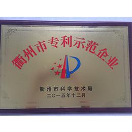 衢州市專利示范企業